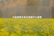小信成则大信立信是什么意思