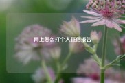 网上怎么打个人征信报告