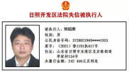 失信被执行人名单信息公布与查询,失信被执行人名单信息公布与查询指南