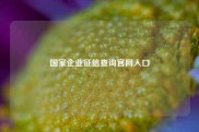 国家企业征信查询官网入口