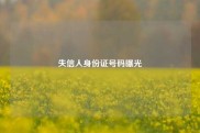 失信人身份证号码曝光