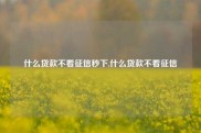 什么贷款不看征信秒下,什么贷款不看征信