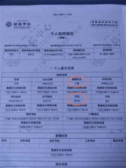 征信报告网上可以查吗,征信报告网上查询指南