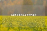 征信不好居然过了农行网捷贷