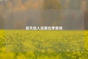 县失信人员黑名单查询