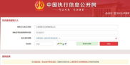 中国执行信息公开网查询个人信息,中国执行信息公开网——查询个人信息的便捷途径