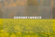 征信有问题多久能恢复正常