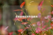 全国逾期起诉失信查询