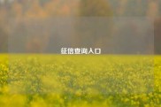 征信查询入口