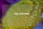 失信人员官方查询