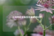 公司的征信报告在哪里可以打