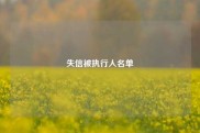 失信被执行人名单