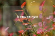 征信有问题怎么解决