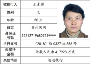 失信被执行查询,了解流程与注意事项