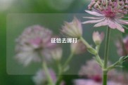 征信去哪打