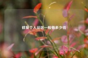 修复个人征信一般要多少钱