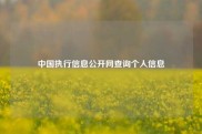 中国执行信息公开网查询个人信息