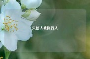 失信人被执行人