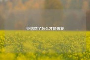 征信花了怎么才能恢复
