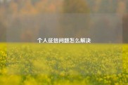 个人征信问题怎么解决
