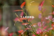 个人失信查询