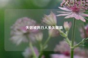 失信被执行人多久撤销