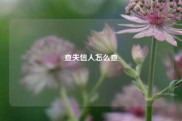 查失信人怎么查