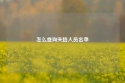 怎么查询失信人员名单