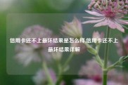信用卡还不上最坏结果是怎么样,信用卡还不上最坏结果详解