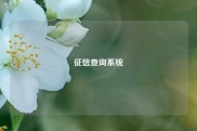征信查询系统
