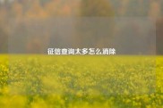 征信查询太多怎么消除