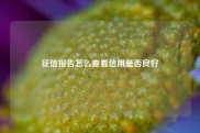 征信报告怎么查看信用是否良好